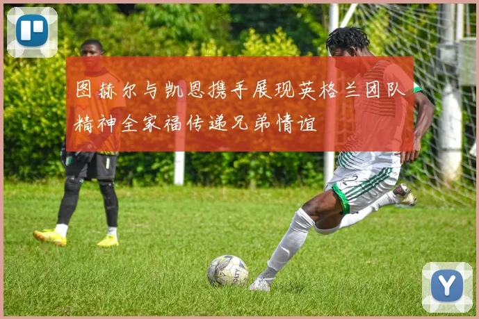 图赫尔与凯恩携手展现英格兰团队精神全家福传递兄弟情谊